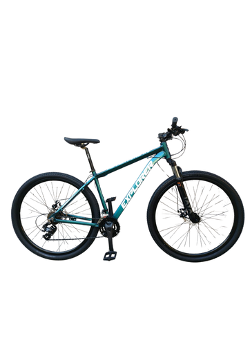 Bici R29 Explorer Adv